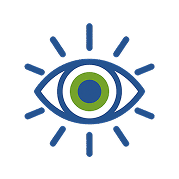 Vision